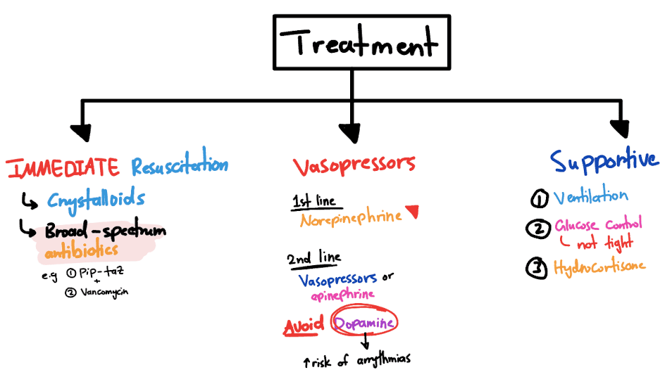 septic shock treatment visceraverse