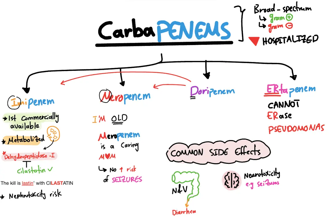 carbapenems mnemonic visceraverse