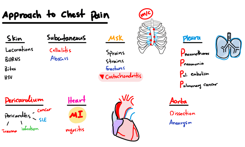 screen shot 2025 08 12 at 8.53.19 pm