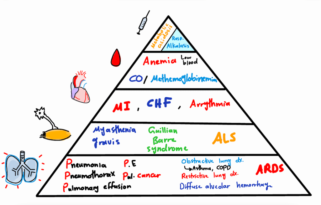 Visual algorithm for the clinical approach to dyspnea and differential diagnosis